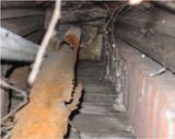 Rotted pipe inside the column